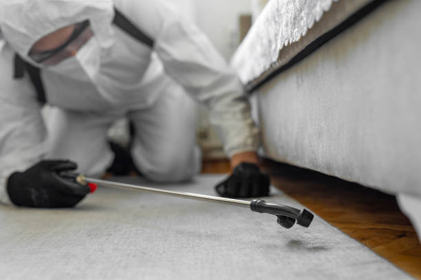Professional Ant Control technician working in Shelby, MT